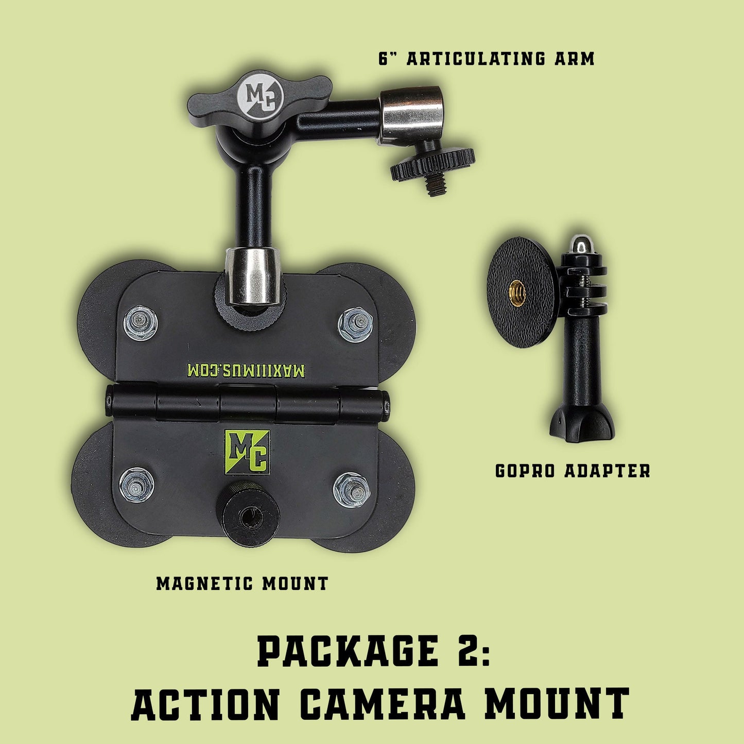 The Magnetic Fields Mount